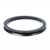 V-RING-NOM-20-MM-SHAFT-RANGE-19-21MM-VA-NBR-D60-(V0020A-N60)